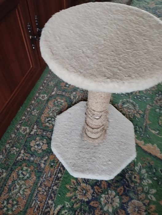 Когтеточка в хорошем состоянии