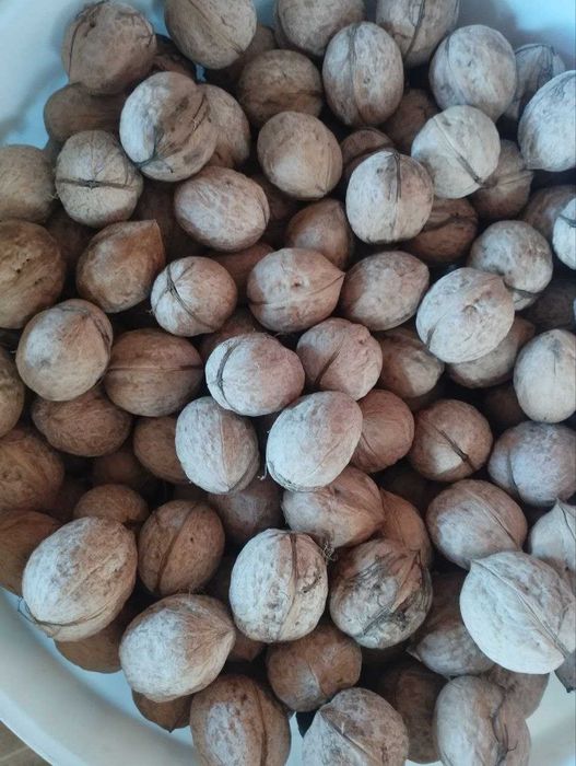 Грецкие орехи местные