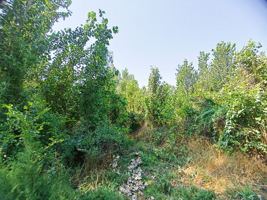 Yer sotiladi 25 sotix +1400 ta terak