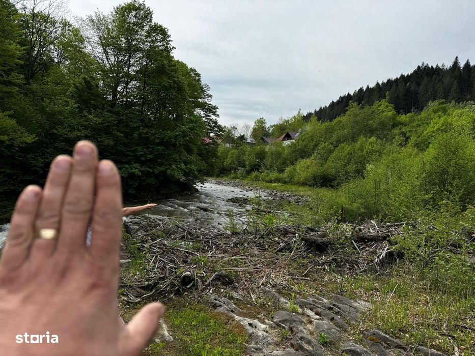 Terende vânzare  – 4.300 mp Brateș-Tarcău,Neamț-Potențial turistic