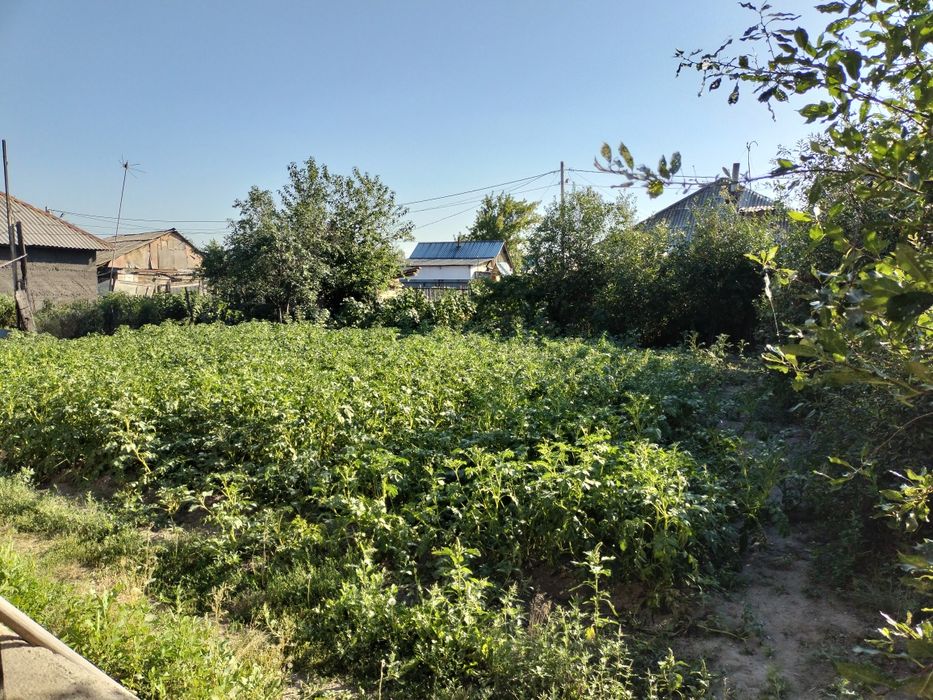 Продам дом на берегу Иртыша