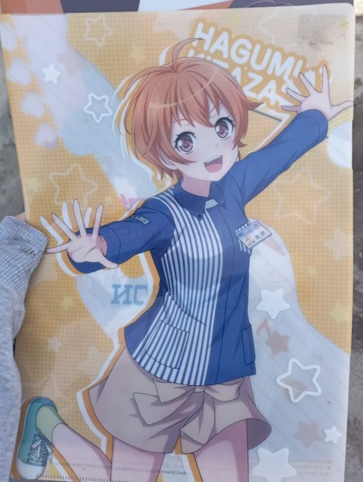 пластиковые аниме папки