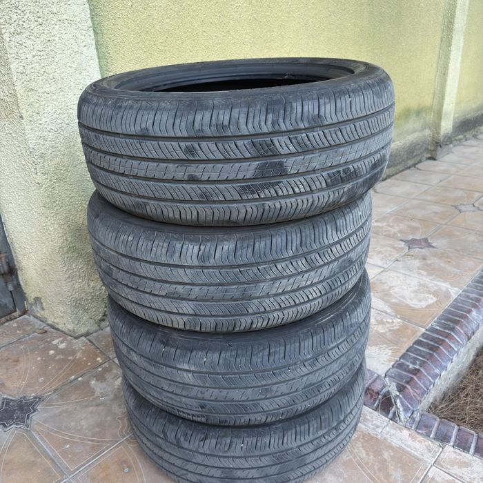 Balon byd seal 6