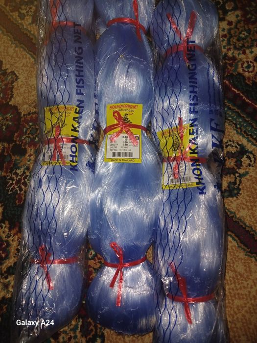 Хамелеон Тор Сетка. Таиланд.