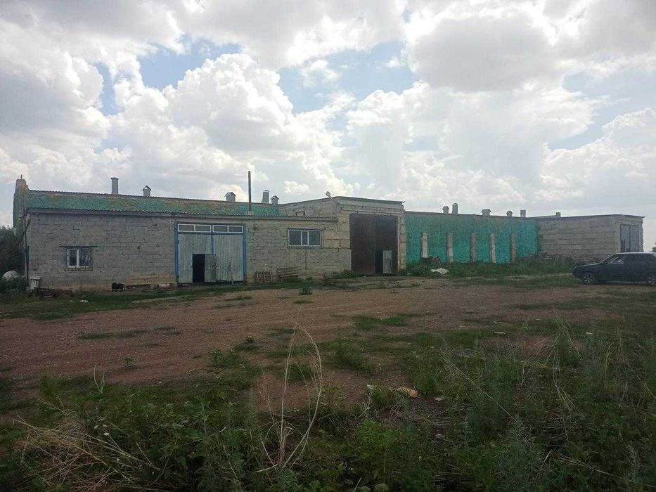 овощеводческие поливные поля