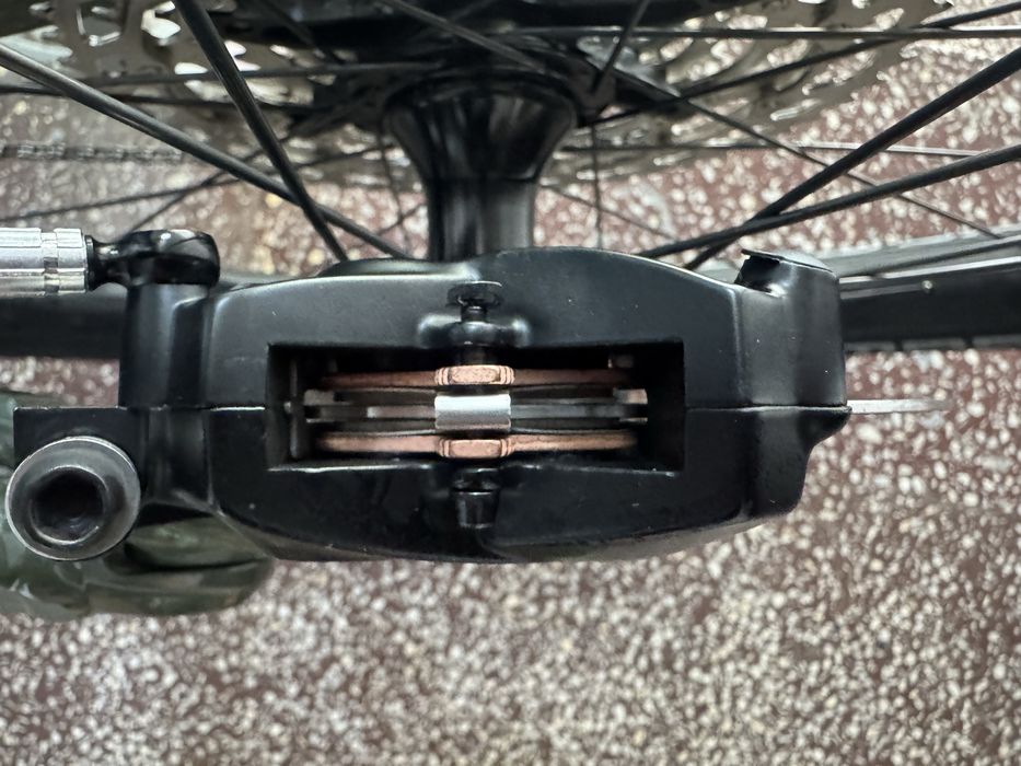 Polygon Collossus N9 L 2024