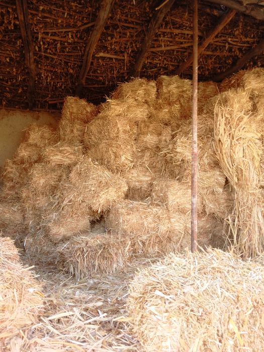 Mollar uchun sifatli barra boĝlik poya va poya preslar