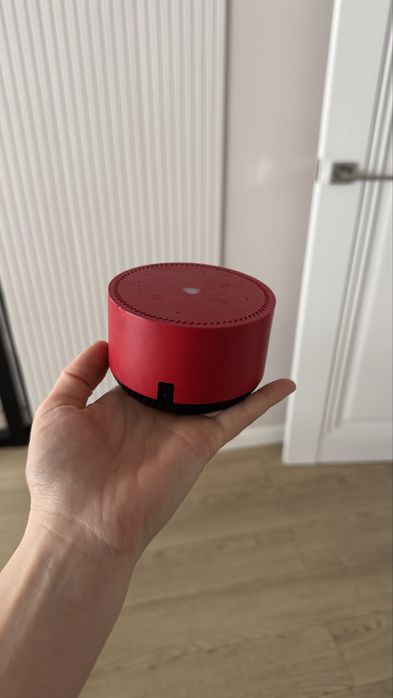 Алиса за 8000 тенге