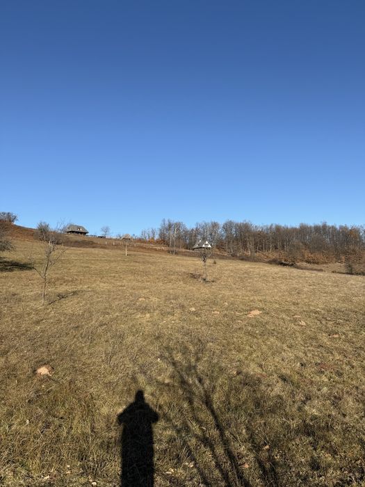 Teren de vanzare 10 000 mp