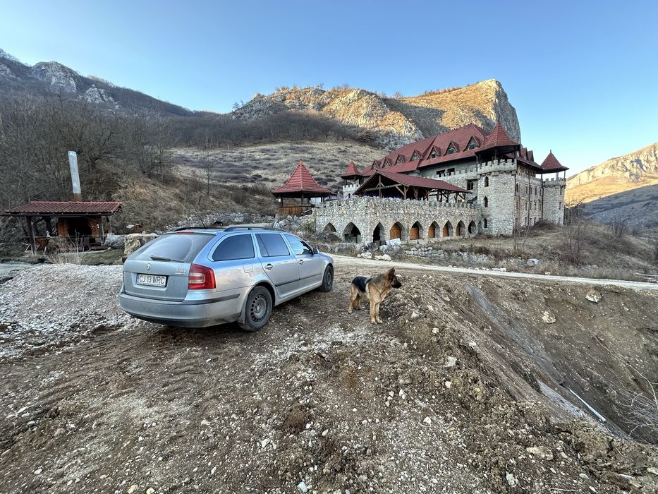 Skoda Octavia 2, 2006,  1.9TDI, 105cp, 290.000km - CJ 13 WRC - 2000€