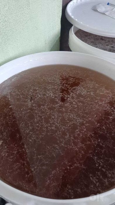 Tabiiy asal optom, Andijon, 20 kg chelakda