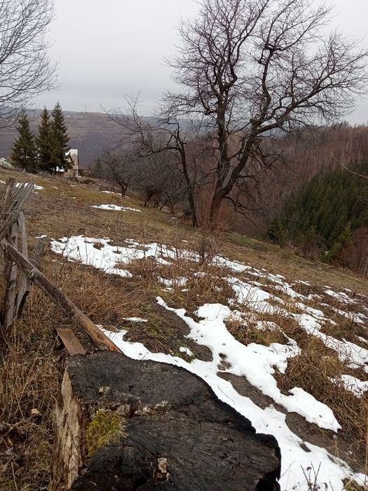 Vând(schimb) teren Mărișel