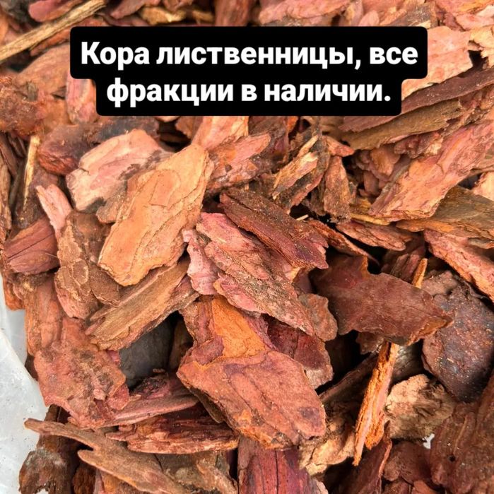 Кора сосновая и лиственницы
