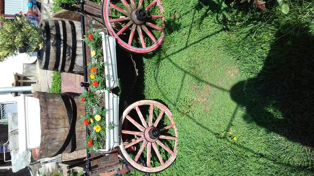 Изрисувана каруца