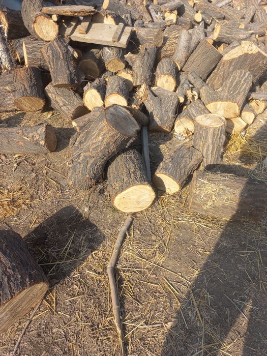 Қара ағаш сатылады