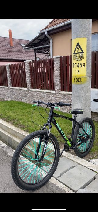 De vanzare giant in stare buna