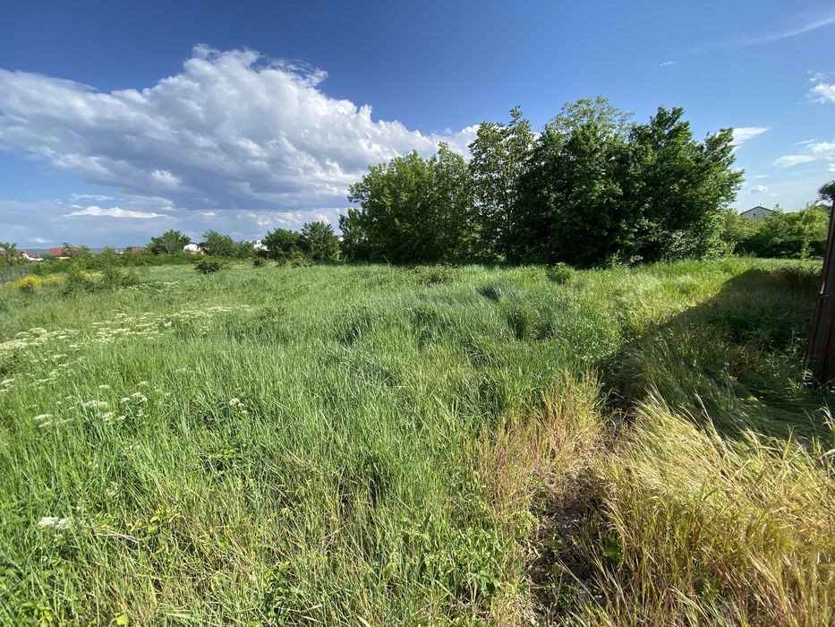 Teren Cetate zona DSV Brandusei