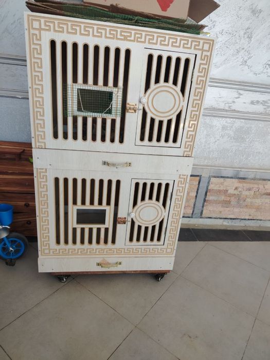 Jujalar boqish uchun muljalangan
