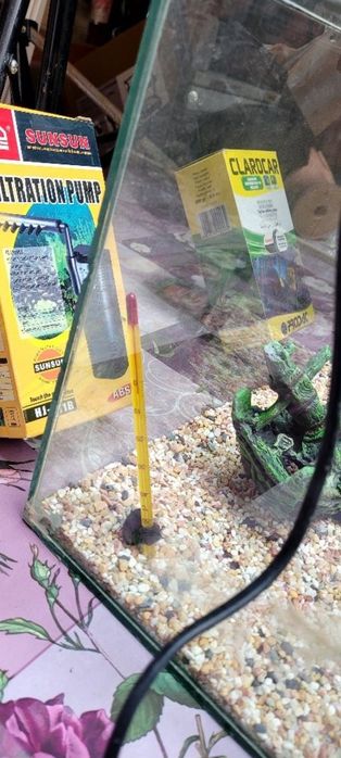 Аквариум с нагревател и термометър