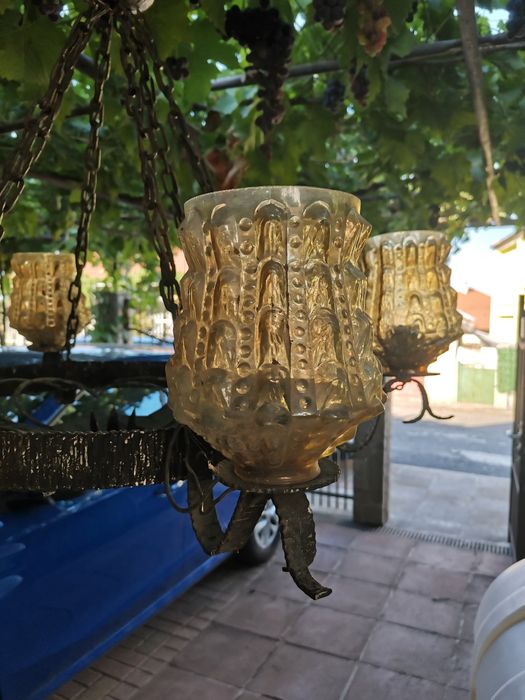 Полилей от кована мед