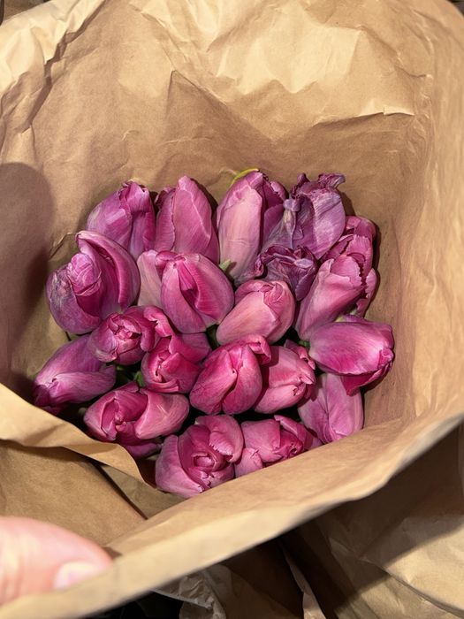 Тюльпаны букеты 8 марта