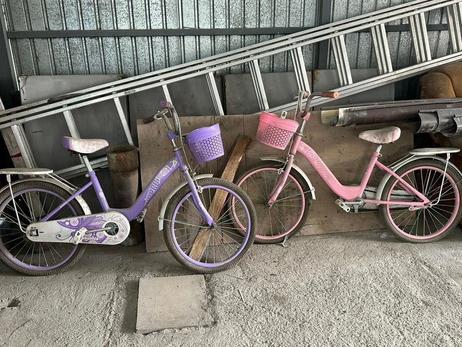 Продам 2 велика за 15000