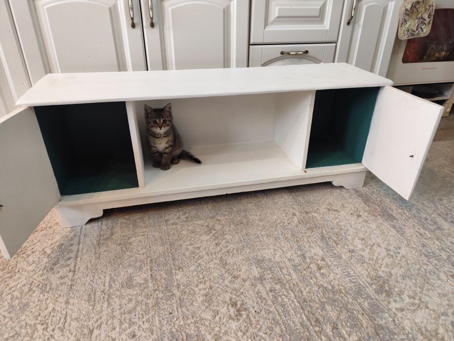 Тумба для обуви.  Из советской тумбы.