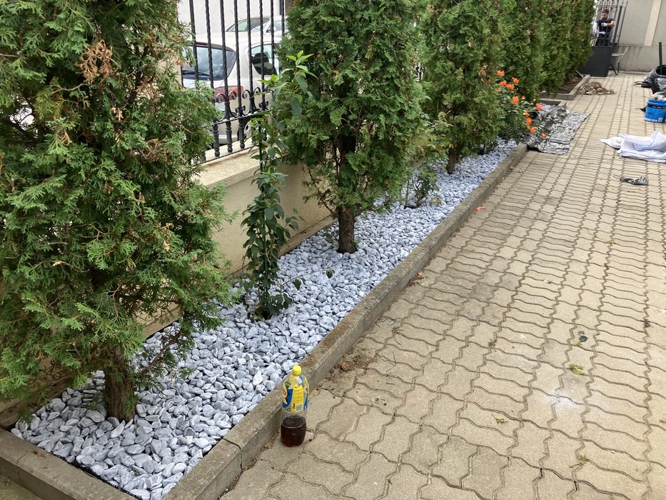 Piatră decorativa , marmura de romania , de thassos