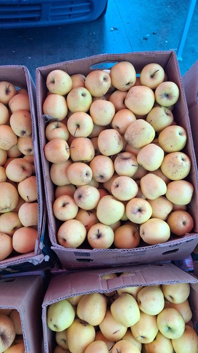 Vând mere Românești