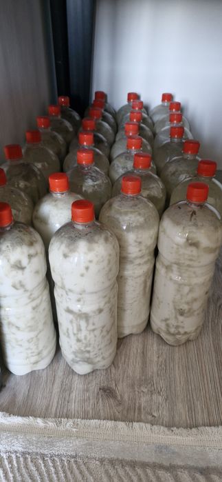 Продам Кымыз Жанаарка