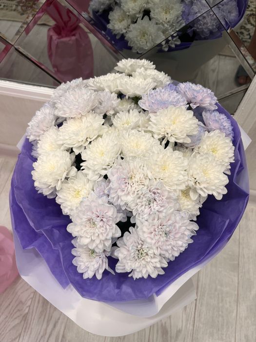 Продам цветы дешево