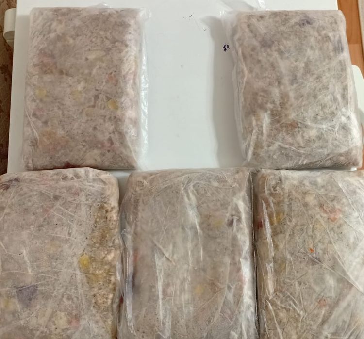 Бұжылар бешбармаққа