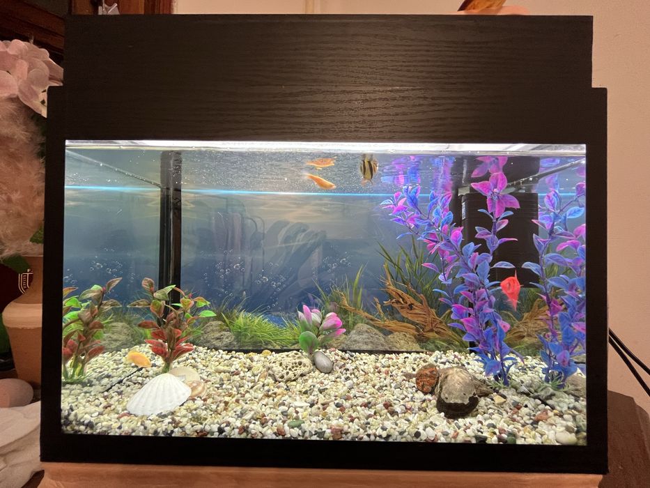 Аквариум 20л (с подсветкой)