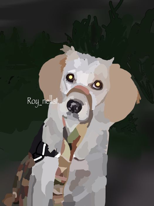 рисую питомцев))