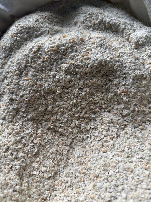 Мучка гороховая на откором