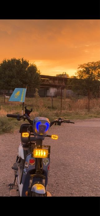 Скутер леопард синий свет