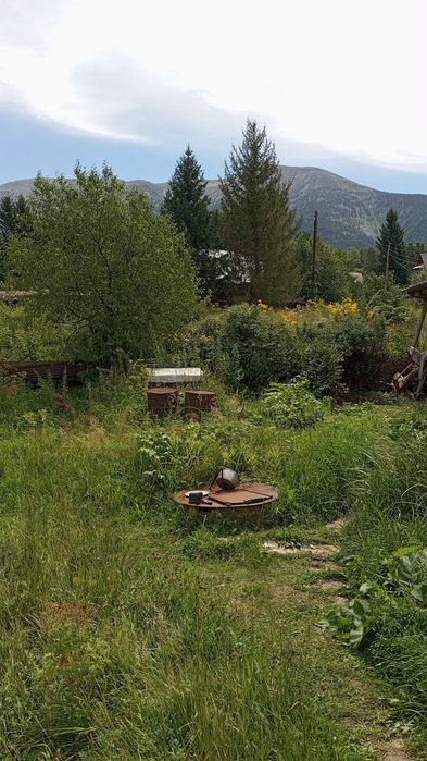 Продаже Мёд алтайский разнотравие