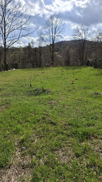 Teren intravilan 2244 m2, in Comuna Valea Doftanei, Sat Tesila