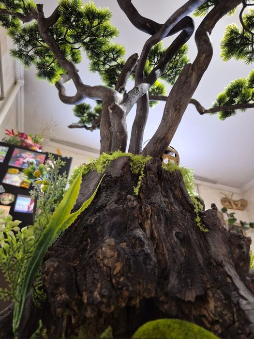 Бонсай ручная работа