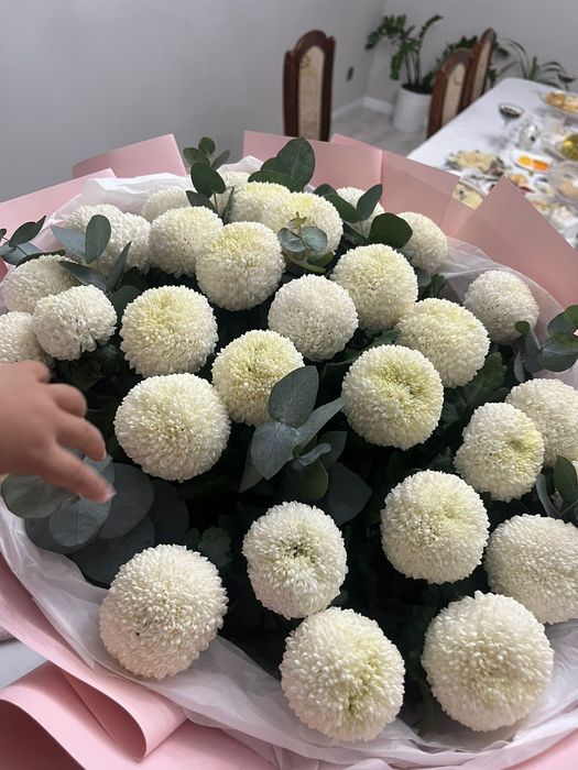 Помпонные хризантемы