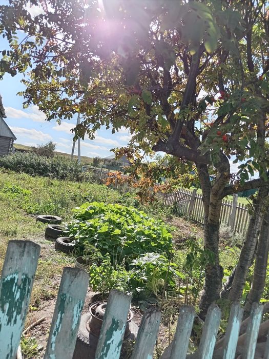 Срочно Продам дом в пригороде