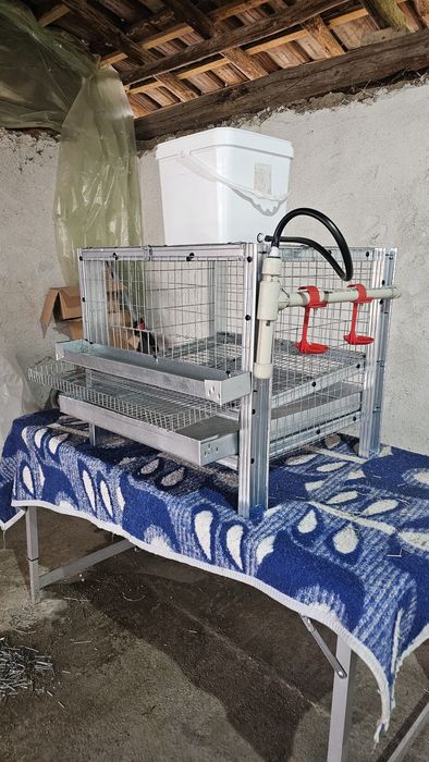 Клетки за Пъдпъдъци