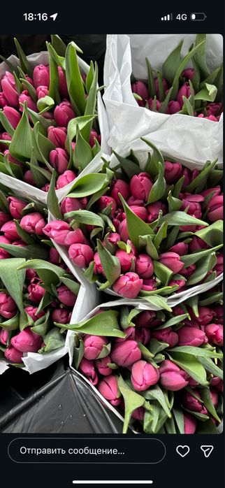 Тюльпаны букетами  по низким ценам