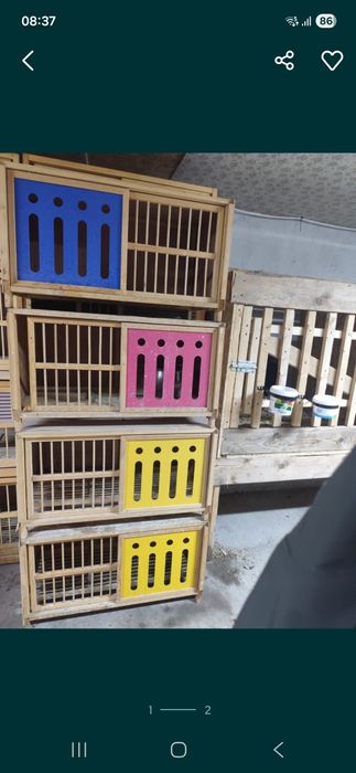 Паровня, клетка,гнездно