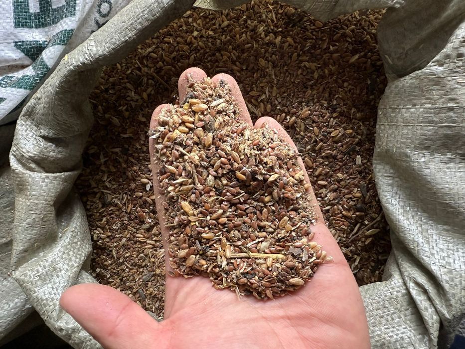 Зерноотходы продам