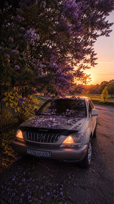 продам лексус RX 300