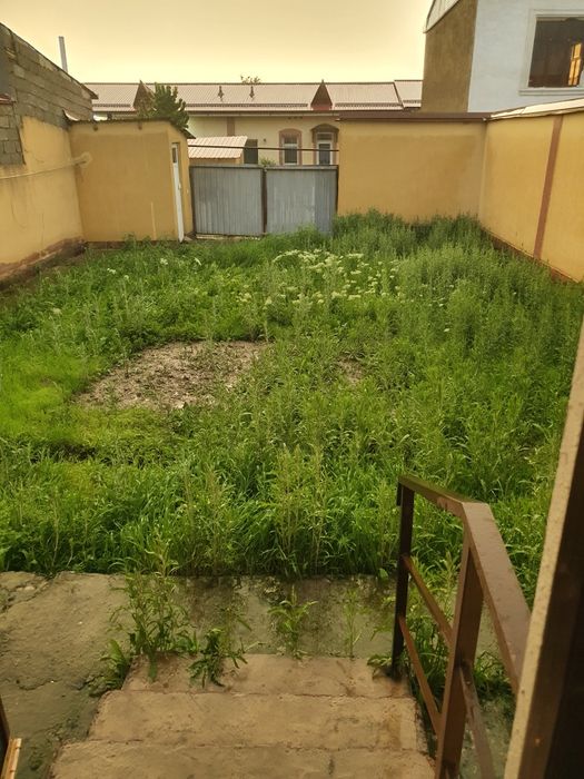 Kotej 2 sotix sotiladi