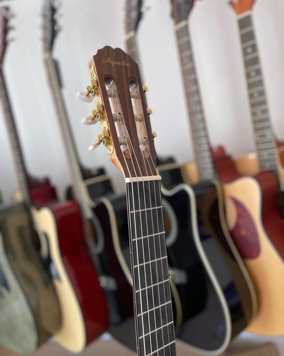 Гитара Agnetha AСG E150