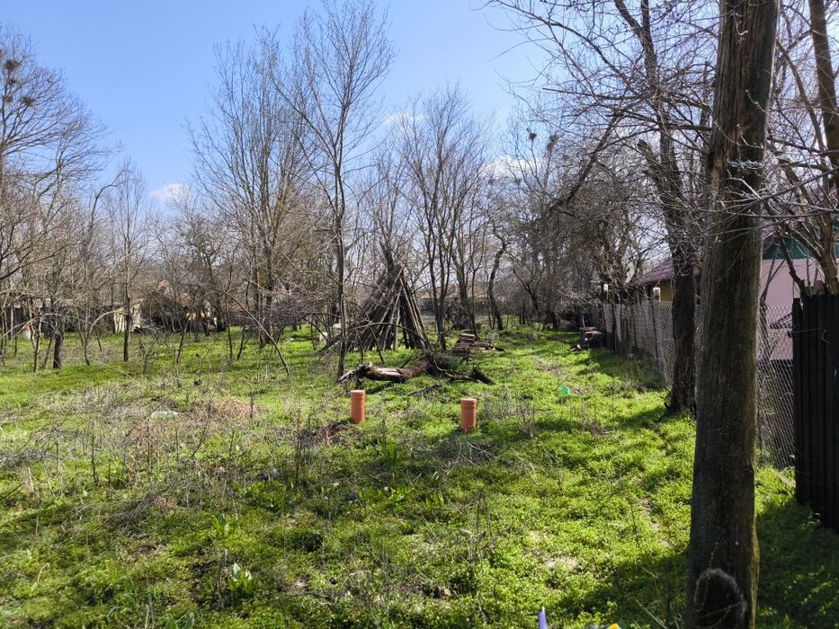 Vind teren intravilan in judetul Teleorman