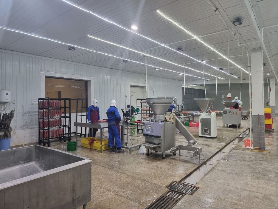 Колбасный цех на продажу